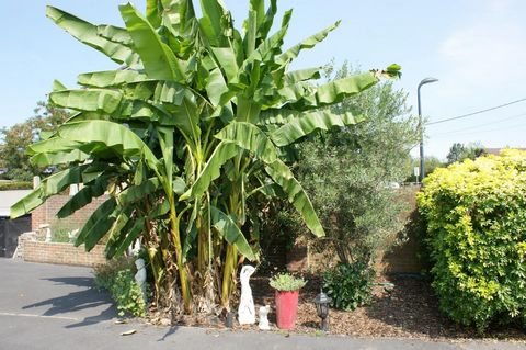 photo no. 11
