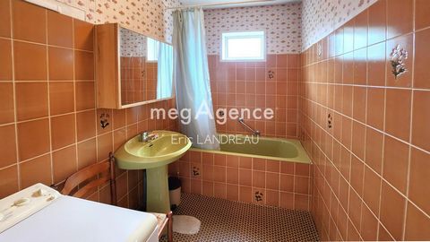 photo no. 5
