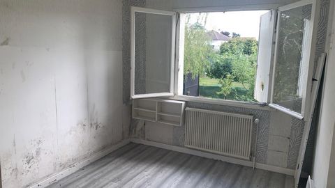 photo no. 13