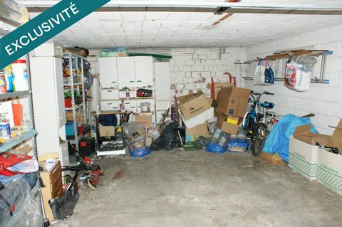 photo no. 11