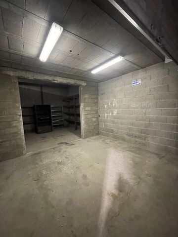 photo no. 8