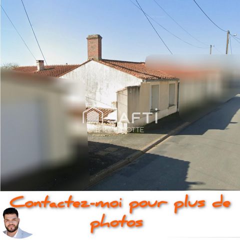 photo no. 4
