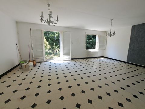 photo no. 6