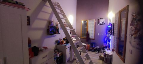 photo no. 7