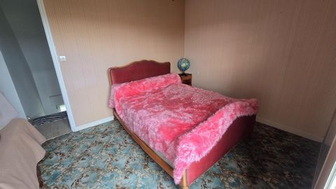 photo no. 10