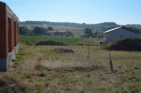 photo no. 9