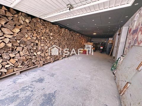 photo no. 12