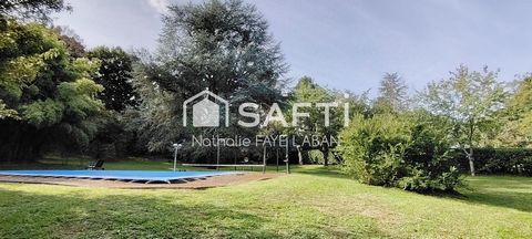 photo no. 13