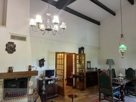 photo no. 17