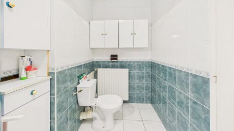 photo no. 6