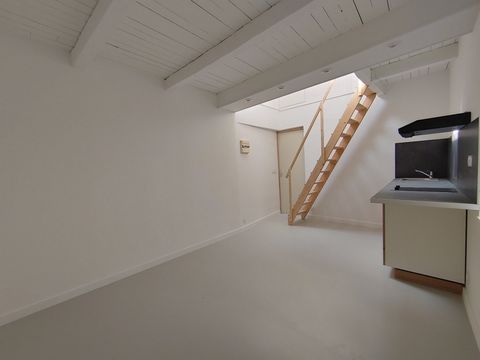 photo no. 3