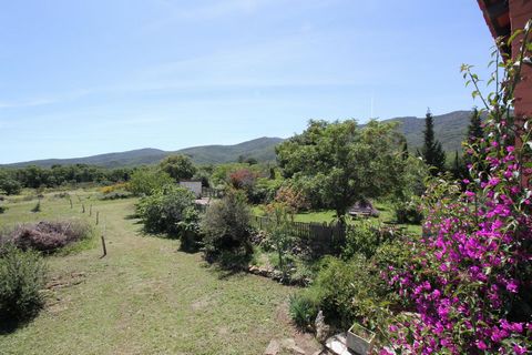 photo no. 12