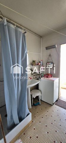 photo no. 6