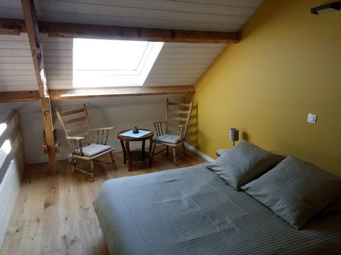 photo no. 12
