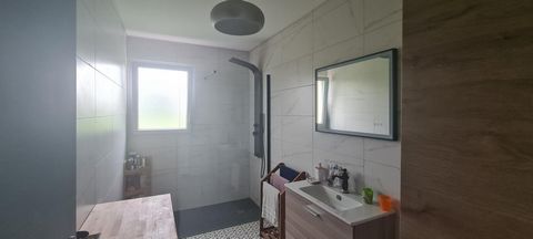 photo no. 11