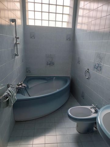 photo no. 8