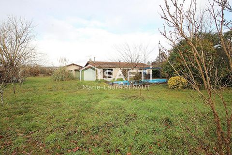 photo no. 2