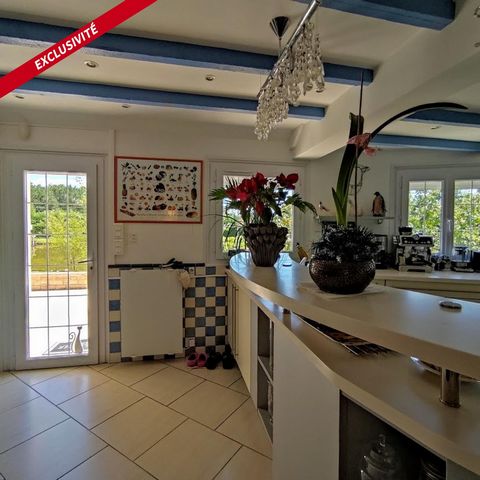 photo no. 8