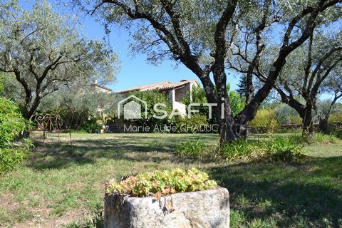 photo no. 14