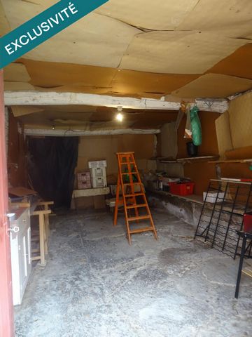 photo no. 9