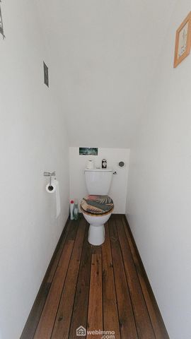 photo no. 19