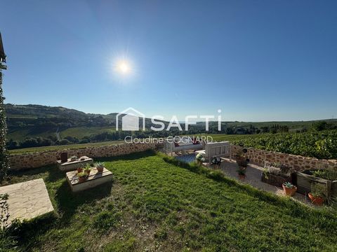 Vue imprenable sur les vignes, maison coup de coeur