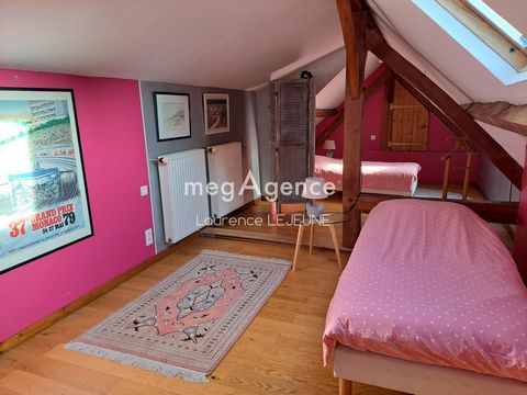 photo no. 11