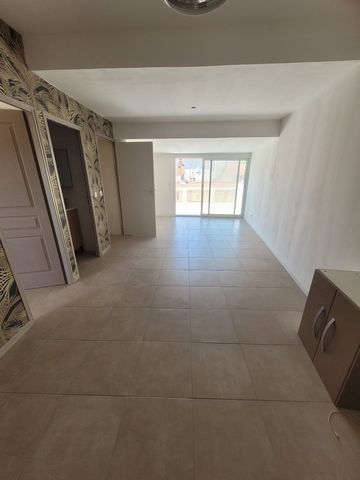 photo no. 11