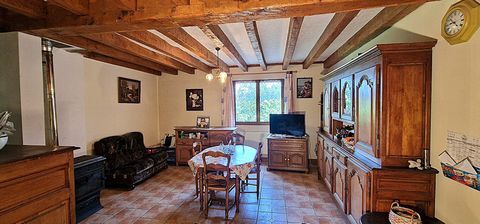 photo no. 25