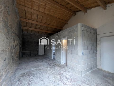 photo no. 12