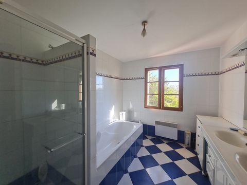 photo no. 12