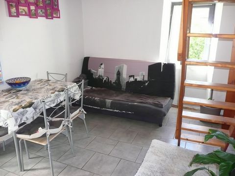 photo no. 12