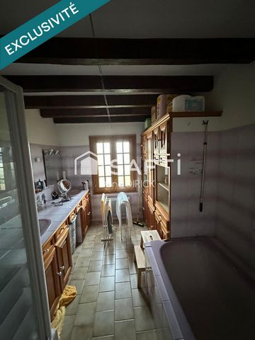 photo no. 11