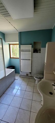 photo no. 6