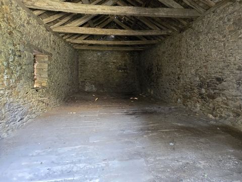 photo no. 19