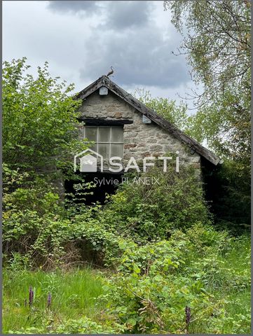 photo no. 14