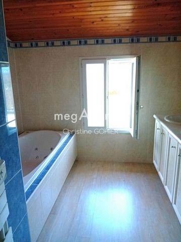 photo no. 12