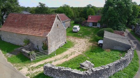 photo no. 3