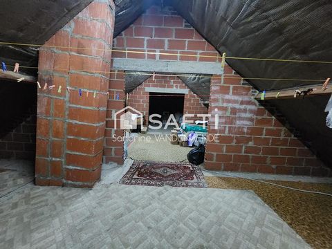 photo no. 9