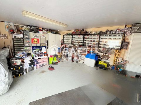 photo no. 11
