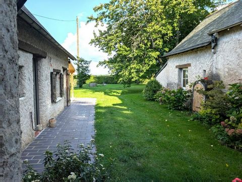 photo no. 13