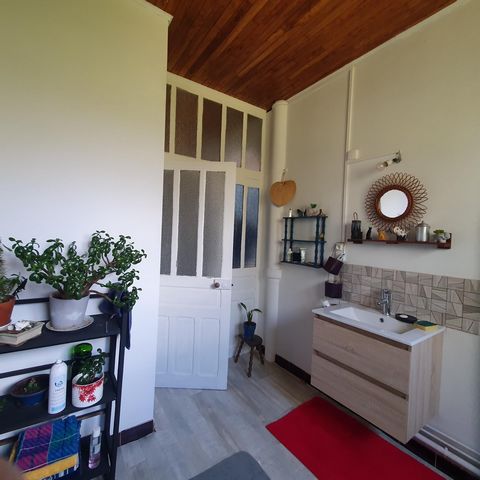 photo no. 7