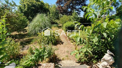 photo no. 11