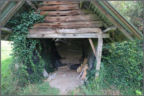 photo no. 6