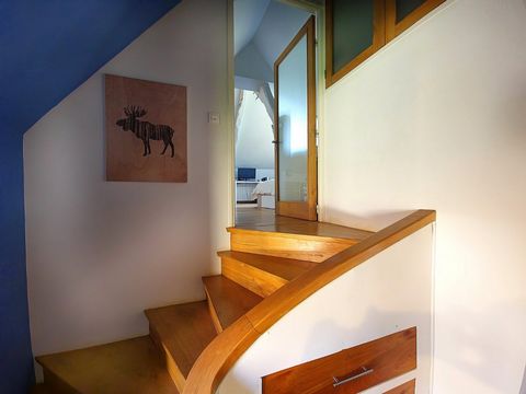 photo no. 28