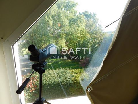 photo no. 14