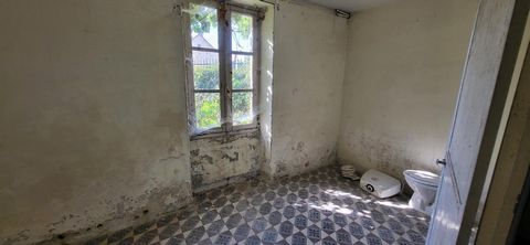 photo no. 10