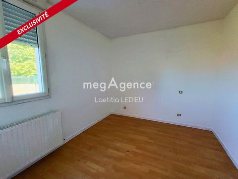 photo no. 12