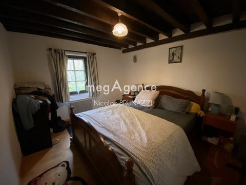 photo no. 7