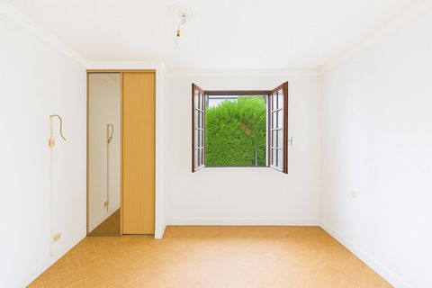 photo no. 8